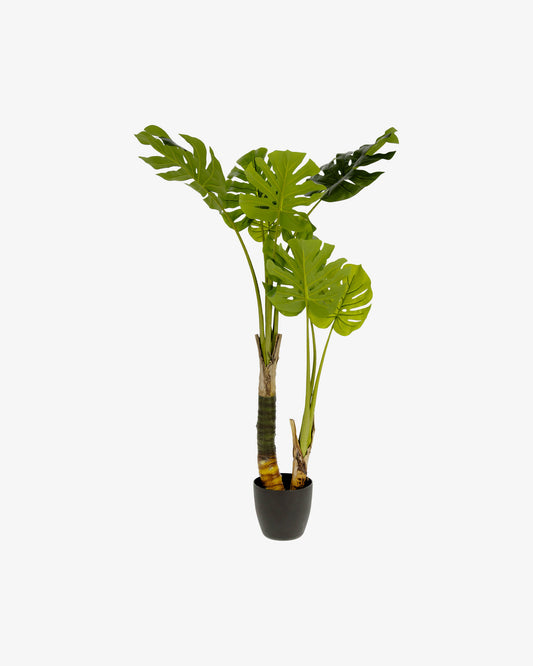 Planta artificial Monstera con maceta de cemento negro 130 cm