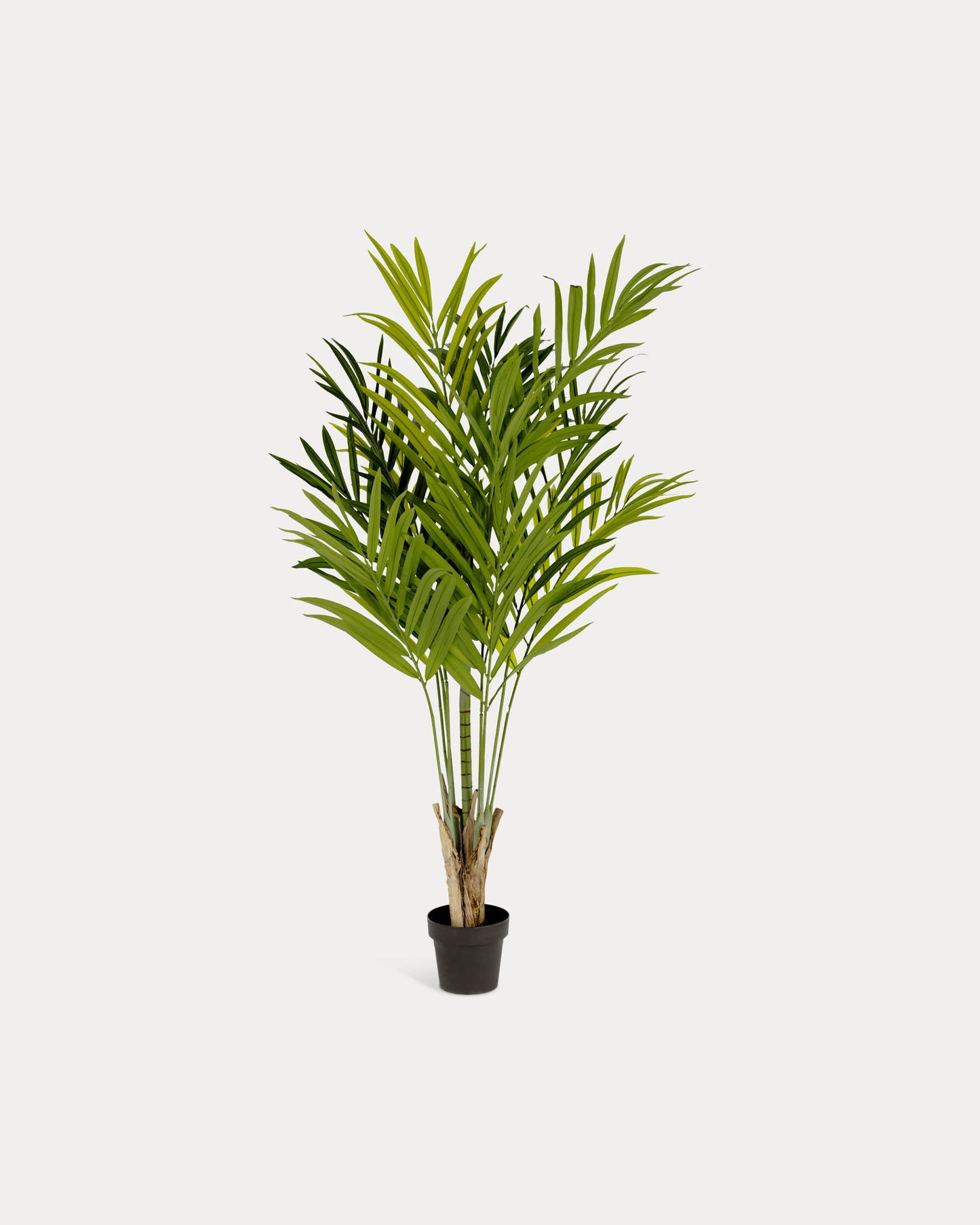 Planta artificial Palmera de bambú con maceta negro 170 cm