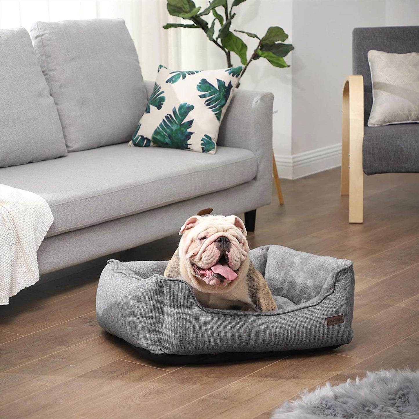 Cama para Perros Gris Claro-Feandrea