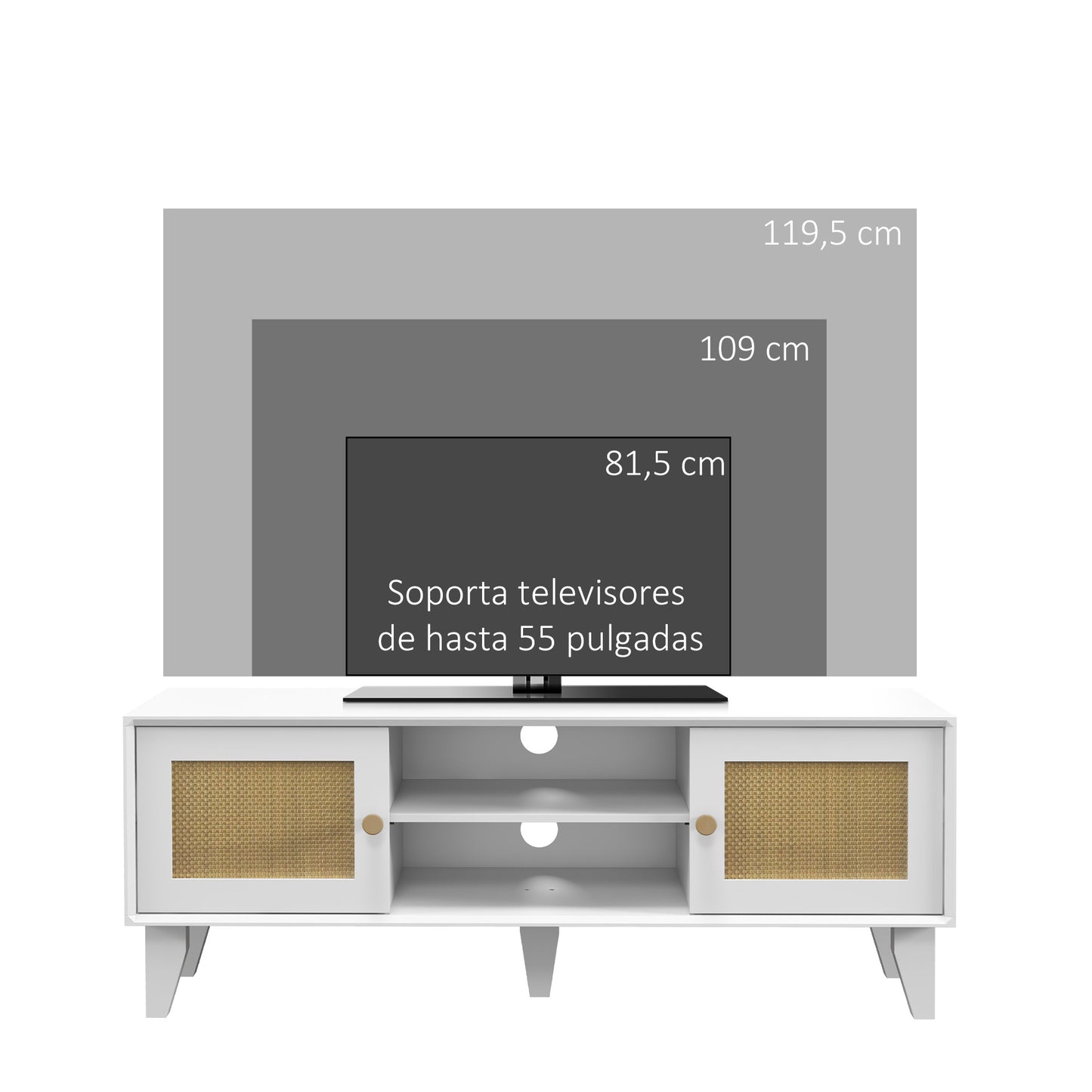 HOMCOM Mueble de TV Mueble de Salón para Televisores de hasta 55 Pulgadas con 2 Puertas de Ratán y Estante Ajustable para Dormitorio 120x35x46 cm Blanco