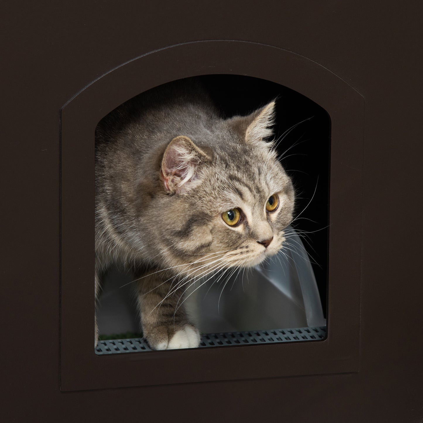 PawHut Mueble Arenero para Gatos 2 en 1 Casa para Gatos de Madera con Armario de Almacenaje Encimera Amplio Puerta y 2 Ventanas Cruzadas 48,7x53,3x53 cm Café