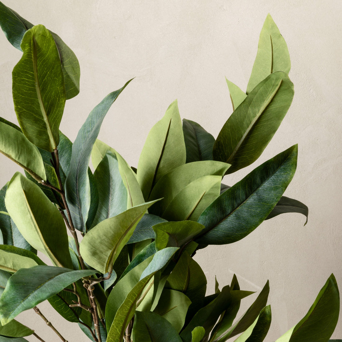 Planta artificial Eucalyptus-Stellulata  - Kenay Home