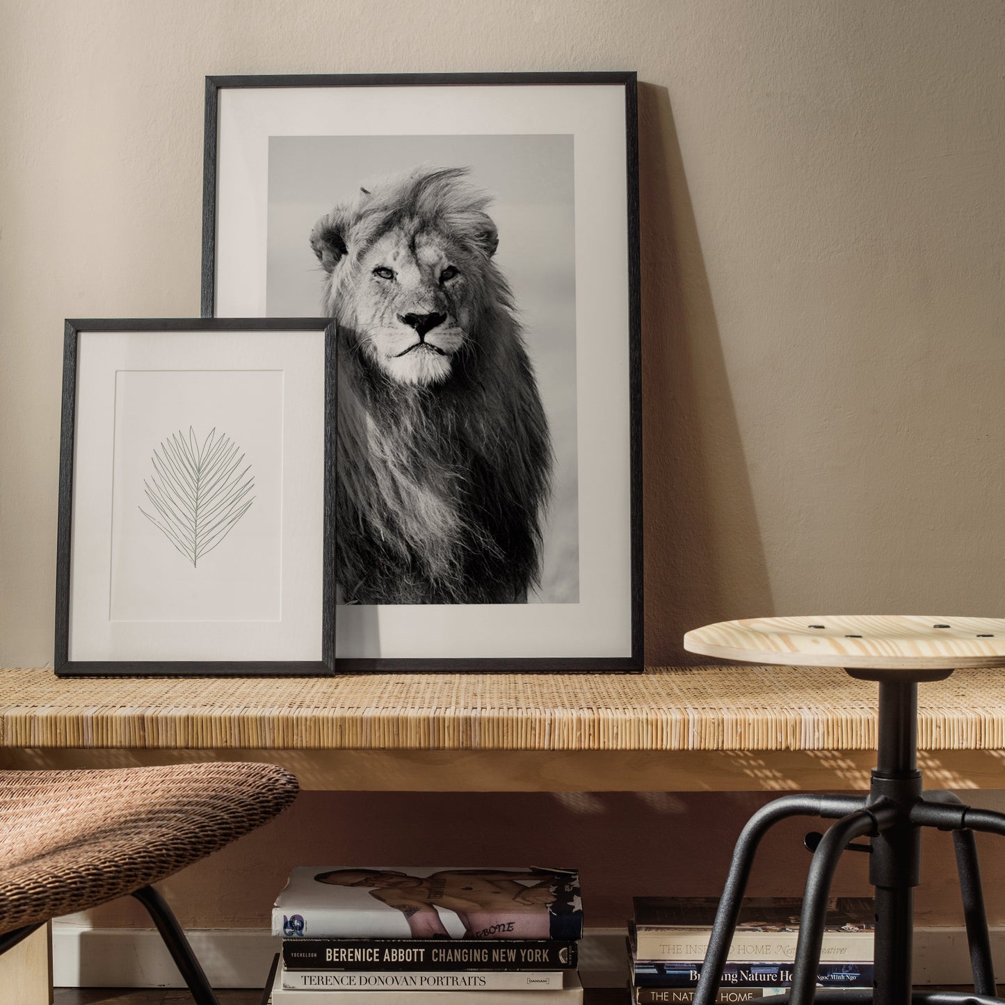 Lámina Black Lion 60 x 90 cm Sin marco - Hannun